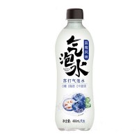 藍(lán)莓風(fēng)味蘇打氣泡水480ml
