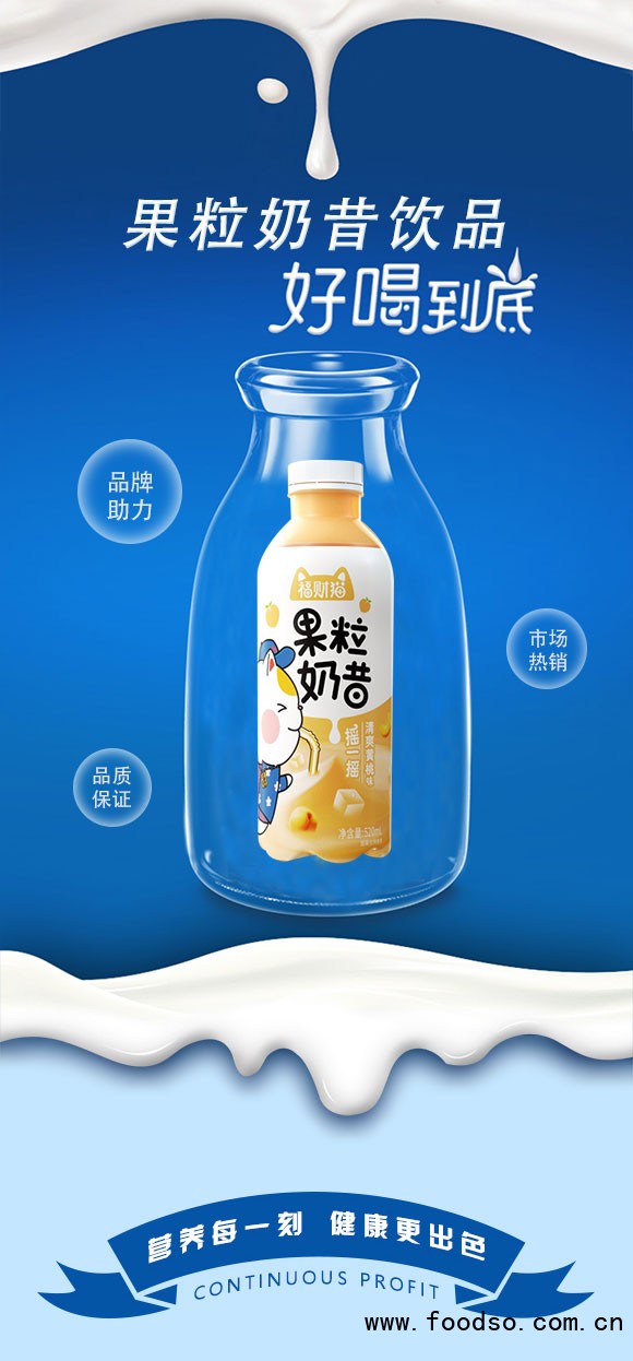 乳酸菌_03 乳酸菌_03