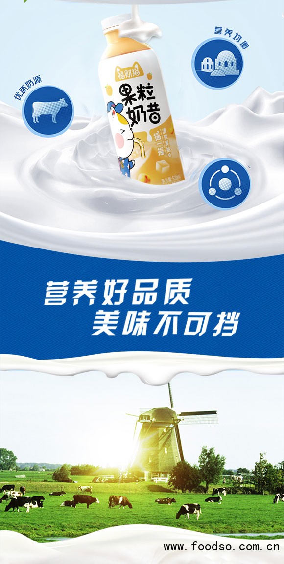 乳酸菌_02 乳酸菌_02