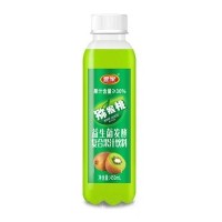 壹家益生菌發(fā)酵獼猴桃果汁飲料450ml