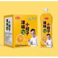 果潤(rùn)心津味小桔子復(fù)合果汁飲料