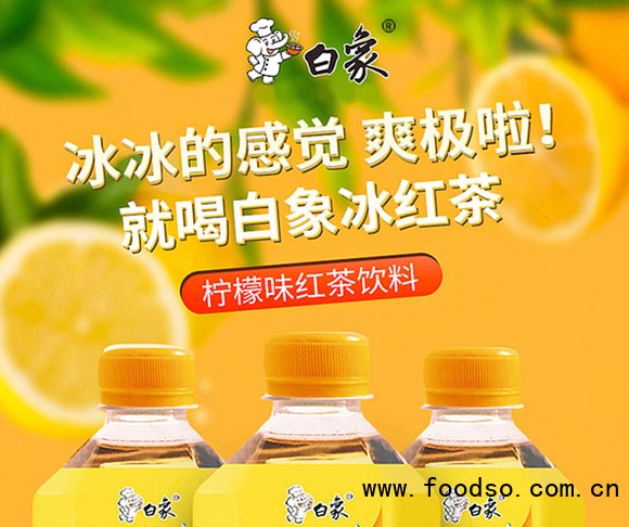 河南白象飲品有限公司-1L紅茶_01 河南白象飲品有限公司-1L紅茶_01