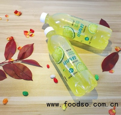 碧升泉小青檸氣泡果汁飲料500ml網(wǎng)紅爆款飲料