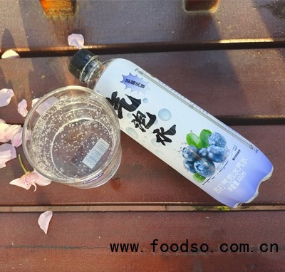 碧升泉葡萄味蘇打氣泡水汽水480ml飲品招商代理