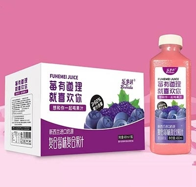 樂事達復合莓味復合果汁48