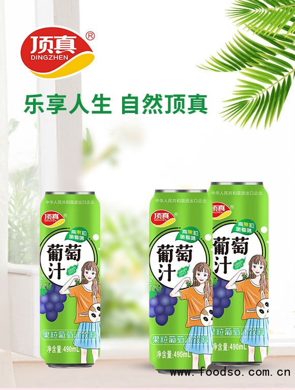 鄭州頂真食品有限公司-果粒果汁1_01 鄭州頂真食品有限公司-果粒果汁1_01