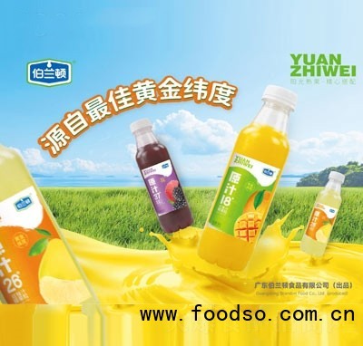 伯蘭頓原汁復(fù)合果汁飲料500ml