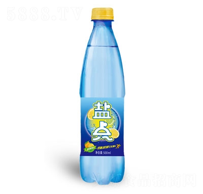 鹽點(diǎn)碳酸運(yùn)動(dòng)飲料500ml