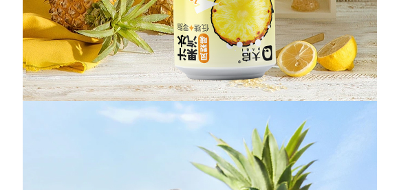 廣東大啟食品有限公司--產(chǎn)品畫冊鳳梨_08 廣東大啟食品有限公司--產(chǎn)品畫冊鳳梨_08