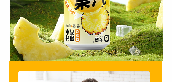 廣東大啟食品有限公司--產(chǎn)品畫冊鳳梨_12 廣東大啟食品有限公司--產(chǎn)品畫冊鳳梨_12