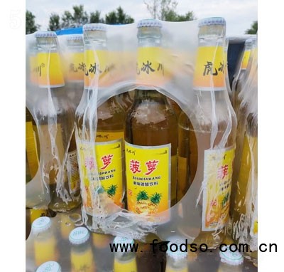 虎冰川碳酸飲料菠蘿汽水490ml