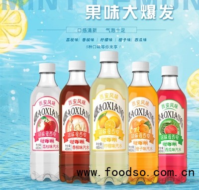梨鄉(xiāng)禧源西安老汽水碳酸飲料480ml