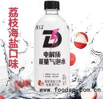 蘇口電解質能量氣泡水電解