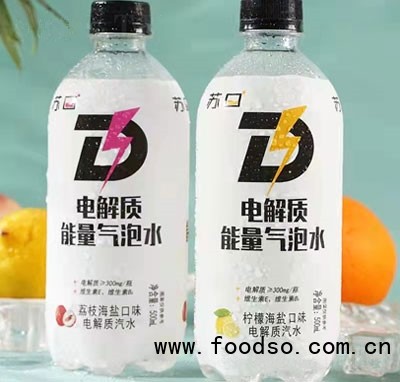 蘇口電解質能量氣泡水電解