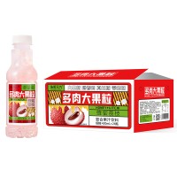 浩明元汽蜂蜜荔枝多肉大果粒復(fù)合果汁飲料箱裝招商420ml