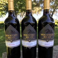 原瓶直采的時(shí)光佳釀：山之